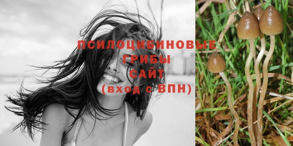 ПСИЛОЦИБИНОВЫЕ ГРИБЫ Абинск