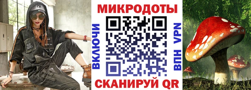 Галлюциногенные грибы Psilocybe продажа наркотиков Нефтегорск